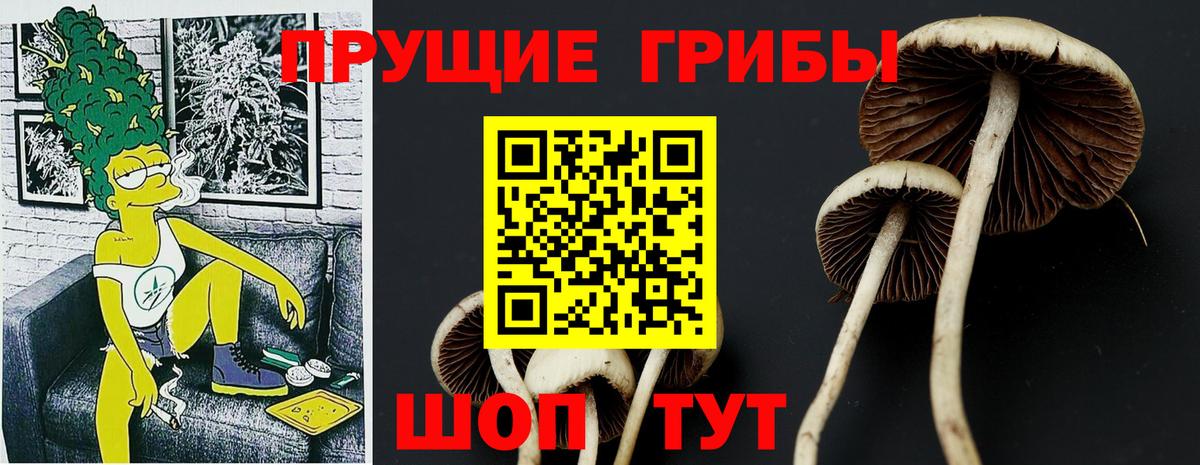 Галлюциногенные грибы GOLDEN TEACHER Усолье-Сибирское