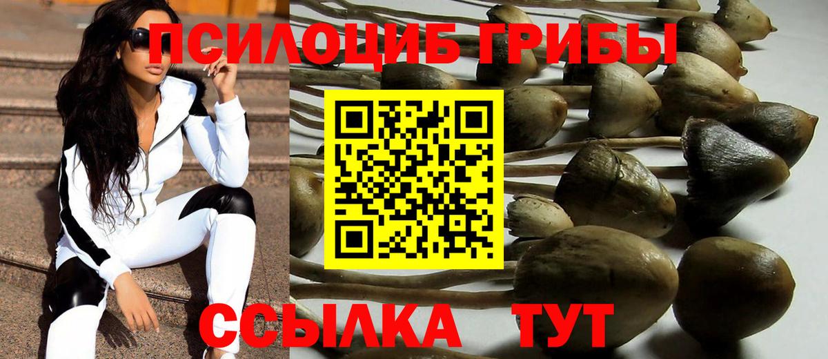 Усолье-Сибирское  Галлюциногенные грибы MAGIC MUSHROOMS  Вход с VPN 